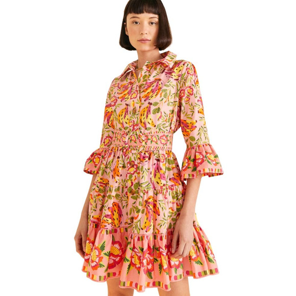 FARM Rio Dresses & Skirts - Farm Rio Painted Bananas Pink Mini Dress Button Front Belted Ruffle Size Large